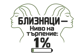 Близнаци с ниво на търпение 1%