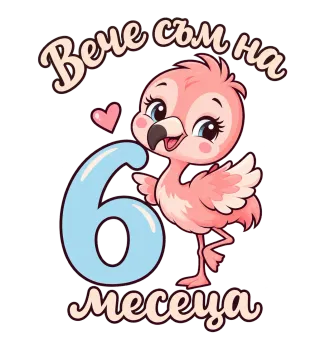Вече съм на 6 месеца. Розово фламинго