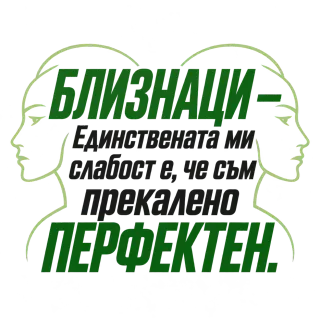 Близнаци - Прекалено перфектен