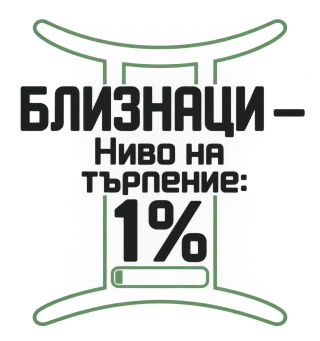 Близнаци с ниво на търпение 1%